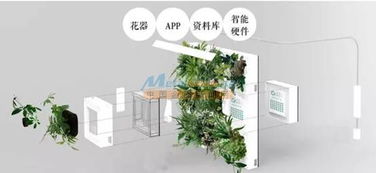 智能綠植墻代理專業提供 河南潤庭裝飾工程